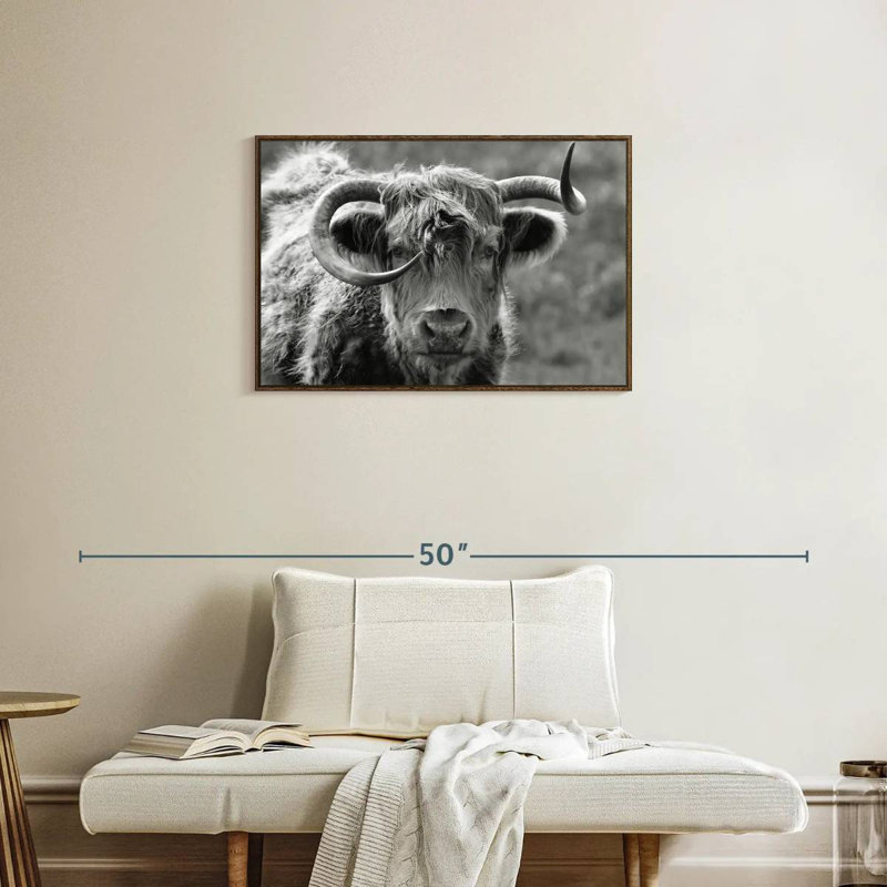Monochrome Highland Cow, Floating Frame Walnut, 31" X 21"