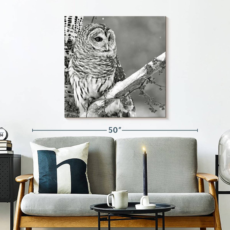 Brampt White Owl BW, 30" H x 30" W