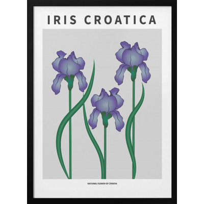 "Iris croate", art mural texturé encadré
