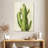 Harnek Front Yard Cactus II-108427003