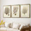 Esper Sea Fans I - reproduction sur mesure encadrée de qualité supérieure - 3 pièces-1607683335-1607683333