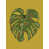 Green selected