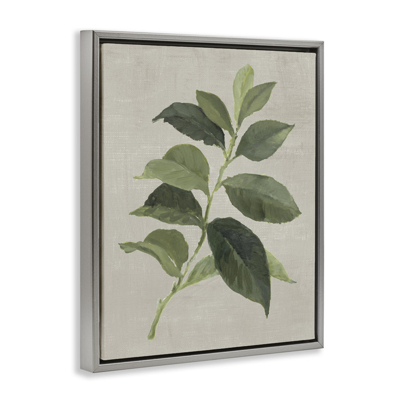 Cadre flottant Arabica Coffee Plant Leaf, design par Lanie Loreth, Cadre flottant gris lustré, H 21 po x l 17 po