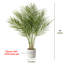 Faux palmier en pot blanc-92330803