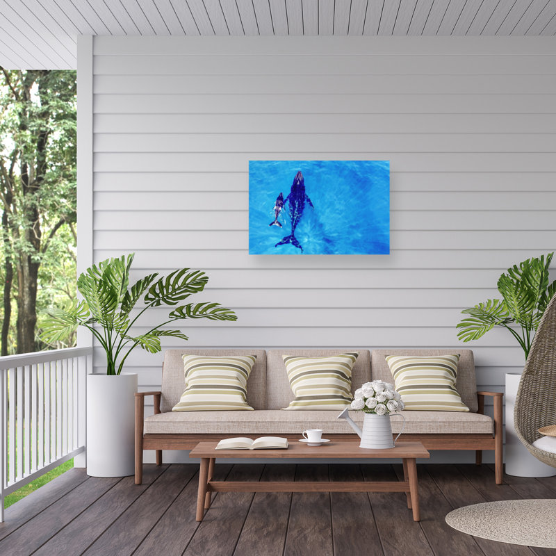 «Bachelor Découvrez le monde» sur toile, H 16 po x l 24 po