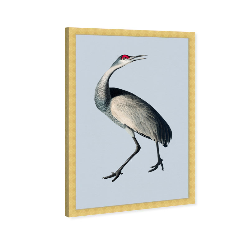 «Bird on Grey Ice» par Oliver Gal - impression encadrée, Or, H 15 po x l 10 po x P 1,5 po
