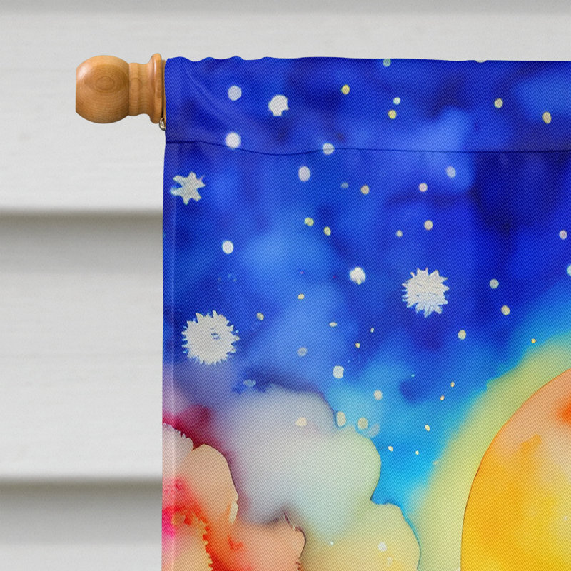 Drapeau de maison en polyester à double face H 40 po x l 28 po