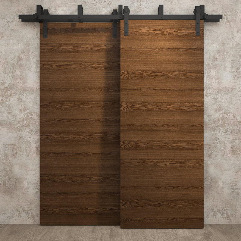 Portes coulissantes de grange coulissantes pour garde-robe | Ego 5000 | Ensemble de quincaillerie Modern Rails | Portes de garde-robe de chambre en bois massif
