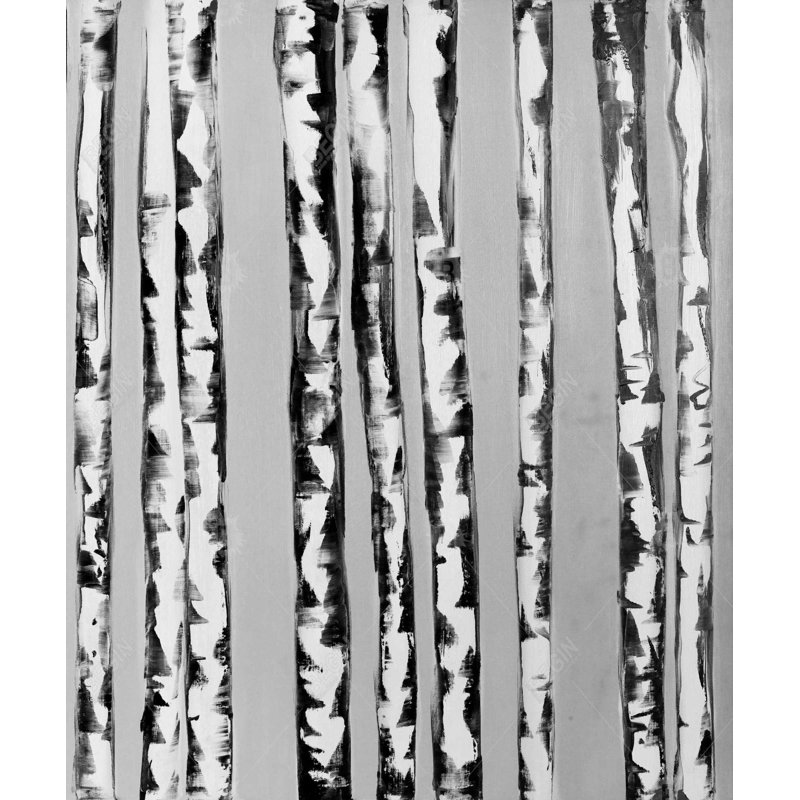 Birches Black and White - Framed Canvas Trees Landscapes Decor