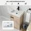 Ensemble de meuble-lavabo simple 19 po Bonne