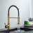 Senlesen Pull Down Kitchen Faucet