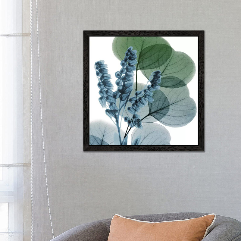 Lilly Of Eucalyptus I by Albert Koetsier - Floater Frame Print on Canvas, Black Framed, 93.98 cm H x 93.98 cm W