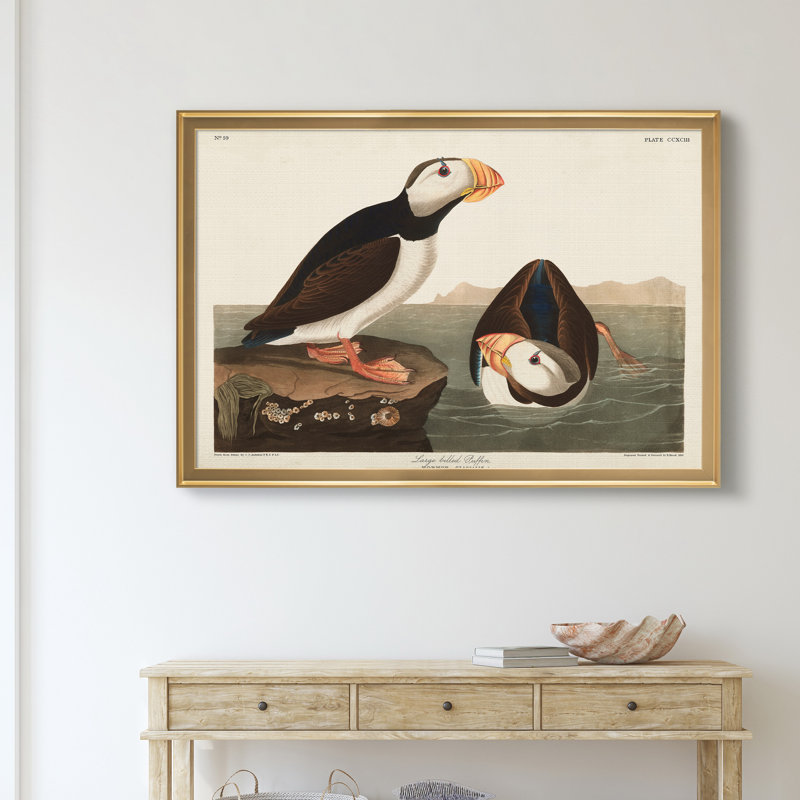 Grand macareux moine - reproduction de photo sur toile, H 26,5 po x l 36,5 po x P 1,5 po, Doré
