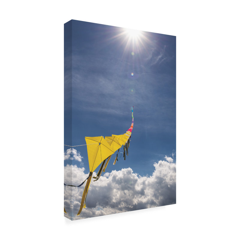 Art sur toile, rouleau de Kites, H 19 po x l 12 po