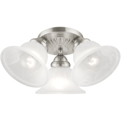 Verre directionnel et projecteur