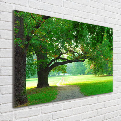 Park In The Fall - No Frame Print on Glass
