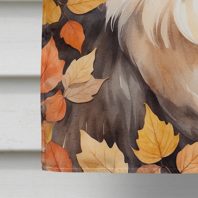 Chat en feuilles d'automne, Persan