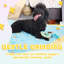 Dog House Accessories New Puppy Starter Training Kit