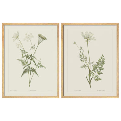 «Vintage Botanical Herb Study», ensemble de 2 reproductions d'art mural encadrées - Illustration de plante verte minimale pour la salle à manger de la cuisine