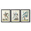 «Pastel Birds IV», reproduction encadrée de qualité supérieure - prête à être accrochée-69983529-69983526