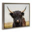 Portrait de vache Highland-982288478-988972111