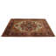 Oriental Area Rug in Beige