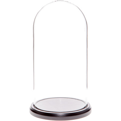 Cloche à dôme en verre 5,5 "x 11" Vucciria