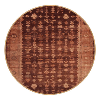 Machine Washable Overdyed Brown Area Rug