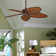 Windpointe 52'' Ceiling Fan