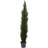 Faux Cedar Tree in Planter-1001372006