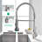 FLG Pull Down Kitchen Faucet