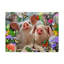 « two porc », reproduction d’impression sur toile tendue-26858696