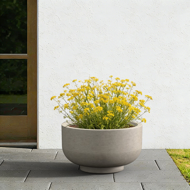 13.5"W x 7.5" H Medium Warm Gray Concrete Planter / Pot Lightweight Planter Bowl with Drainage Holes, Stone Gray