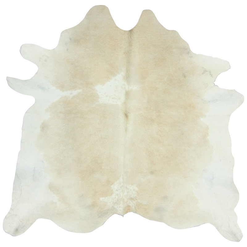 Marquieta Indoor Rug, 5' x 7'