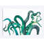 « octo jambes » par laura van horne, impression sur toile-31919564-73551011-73551005