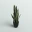 Plante de serpent artificielle Sansevieria en pot-1492571405