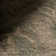 Anelia Traditional Vintage & Distressed Area Rug