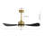 Boun 42'' Ceiling Fan with LED Lights-1421496078-1421496079