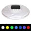 Bestway Floating Solar Light