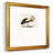 " Odd Crane "-87965297
