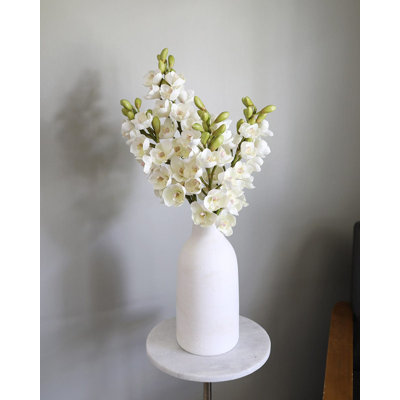 Cream Cymbidium Orchid 33"