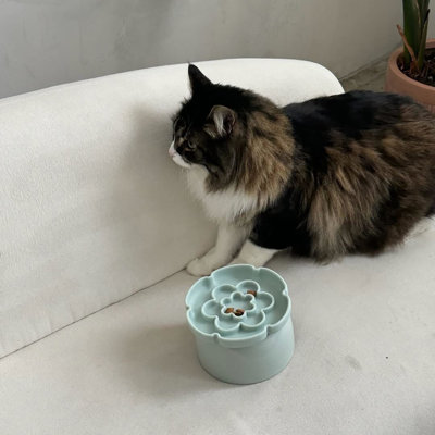 Dexypaws: Flower Elevated Slow Feeder - Sage Green - 7.75oz Capacity, Silicone Cat Dish w/ Removable Ceramic Stand, Pet Meal Feeding, Water & Food