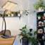 Corrigan Studio Grow Light