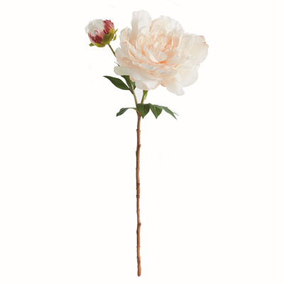 21-Inch Peony Stem