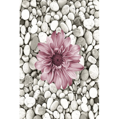 Premium Woven Area Rug, 100% Polyester, 4.6 x 7.2 ft | Antibacterial, Non-Slip PVC Dot Underside | 3D Digital Printing, Machine Washable, Pile Height: 0.3 in | Ideal for Living Room, Bedroom, and Dining Spaces