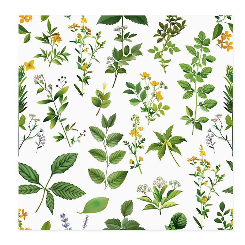 «Botanical Plants & Herbs I Cottage», reproduction d'art non encadrée, H 18 po x l 18 po