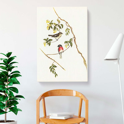 Rose-Breasted Wood-Robins by Elizabeth Gould - Wrapped Canvas