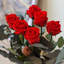 Vraies roses rouges préservées de 20 pouces: longues tiges roses qui durent éternellement - ensemble de 10-1971217539