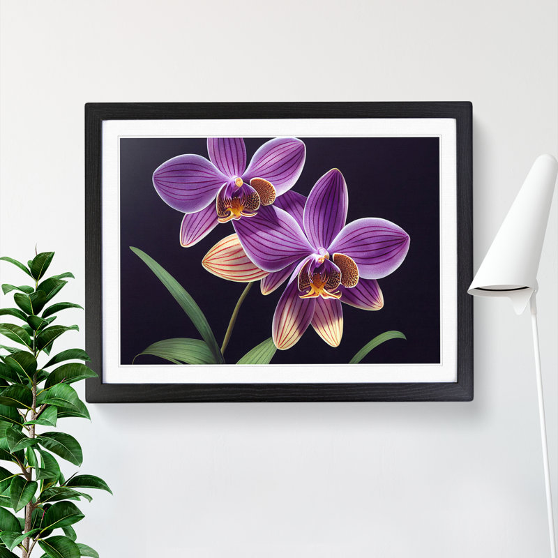 Unbeatable Orchid Flowers - Framed Print, Black Framed, 25cm H x 34cm W x 2cm D