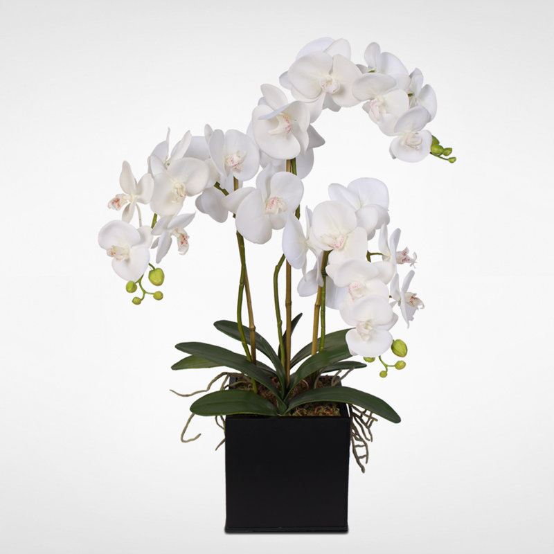 Arrangement floral phalaenopsis en soie orchidées dans un pot de fleurs